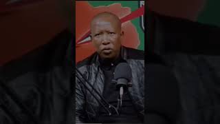 The Stellenbosch Mafia Julius Malema [upl. by Anitnerolf]