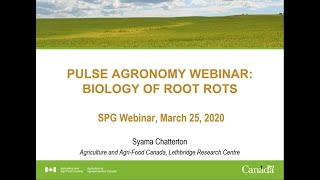 Pulse Agronomy Webinar Biology of Root Rots [upl. by Doloritas]