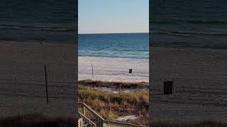 Edgewater II  Panama City Beach FL  Feb 2024 [upl. by Dill383]