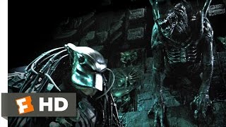 AVP Alien vs Predator 2004  Marking the Hunter Scene 35  Movieclips [upl. by Caitlin976]