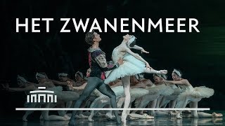 Het Zwanenmeer 2019 trailer  Het Nationale Ballet [upl. by Launcelot]