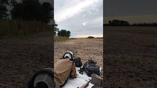 M70 zpap at 450 yards easy work [upl. by Laine]