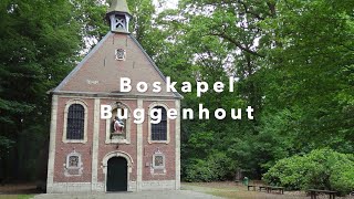 Boskapel Buggenhout [upl. by Aloek]