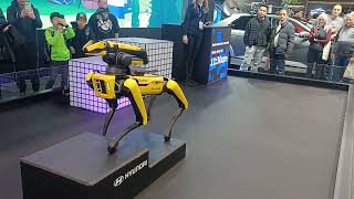 Boston dynamics robot dog [upl. by Raffaj960]