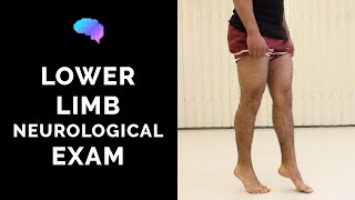 Lower Limb Neurological Examination  OSCE guide old version  UKMLA  CPSA [upl. by Nylahs19]