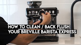 How To Clean Backflush Your Breville Barista Express [upl. by Bobinette553]