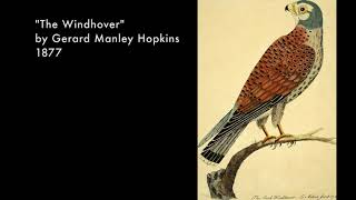 Gerard Manley Hopkins The Windhover [upl. by Carrick989]