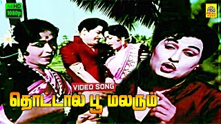 Thottaal Poo MalarumVideo Song  Padagotti  MGR  Saroja Devi  Suseela  Full HD  Digital [upl. by Clementia134]