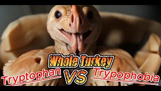 Tryptophan Vs Trypophobia [upl. by Auberta]