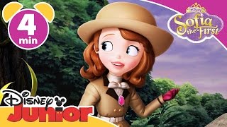 Sofia the First  Royal Vacation  Disney Junior UK [upl. by Karalynn]