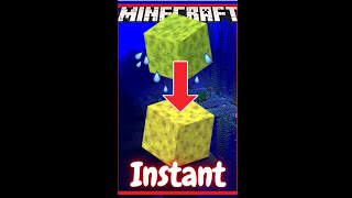 Instant Dry Sponges in Minecraft Shorts [upl. by Adianez]