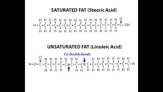 Chemical Structures of Examples of Saturated and Unsaturated Fatty Acids [upl. by Eniawed]