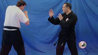 Kempo Karate  Combination 12 [upl. by Zetana]