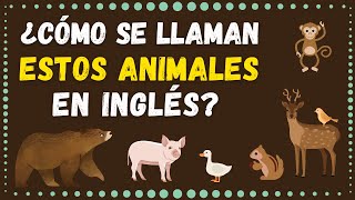 ¿Sabes Los Nombres de LOS ANIMALES en Inglés Prueba de 20 Preguntas [upl. by Akema]