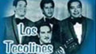 LOS TECOLINES  HAY QUE OLVIDAR [upl. by Ttocserp]