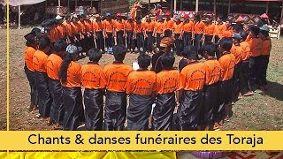 Chants et danses funéraires des Toraja [upl. by Rattray]