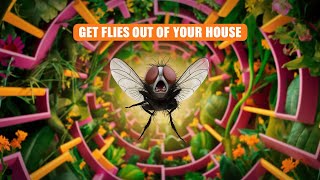 Quick Tips to Get Flies Out of Your House  Proven to Work NaturalFlyRepellant FlyTraps HomeHacks [upl. by Jun368]