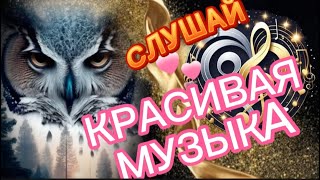 🦉 СЛУШАЙ🎧 КРАСИВАЯ МУЗЫКА [upl. by Surbeck485]