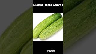 Amazing 👏 facts about food 🤯mind blowing facts in hindi facts shorts [upl. by Anua]