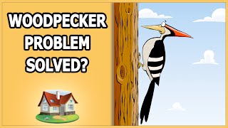 Woodpecker Problem Solved [upl. by Eillah665]