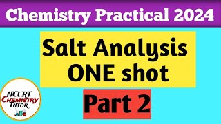 ONE SHOT2 Salt Analysis Practical ChemistryClass 12  Practical exam 2024Salt analysis [upl. by Eberhart]