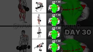 I’m Going to Create the Most Powerful BACK in One Week muscle building back workout athlean x [upl. by Anele]