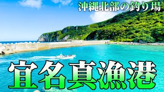 【魚が見える海】宜名真漁港【沖縄北部の釣り場ポイント】【沖縄観光】 [upl. by Yeca]