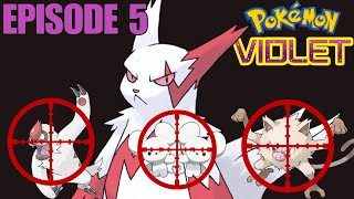 Zangoose the Destroyer  Pokémon Violet [upl. by Rasec722]