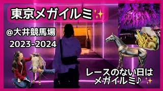 【東京メガイルミ✨】大井競馬場🐎♪✨レースのない日の冬の特別イベント✨🌈20232024 [upl. by Hotchkiss]