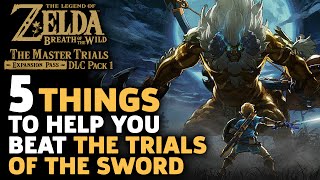 5 Essential Tips To Help You Beat The Trials Of The Sword  Zelda Breath Of The Wild [upl. by Nealah]