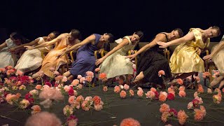 Tanztheater Wuppertal PINA BAUSCH  Nelken \ Montreal [upl. by Alpheus907]