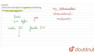 Give one example of organism exhibitingfemale heterogamety  CLASS 12  XII BOARDS  BIOLOGY [upl. by Sivrahc]