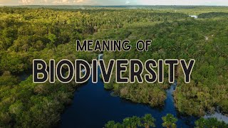 What is the meaning of Biodiversity [upl. by Pauline]