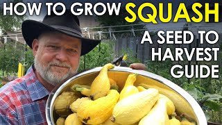 How to grow SQUASH from Seed to Harvest  A Complete Guide  Black Gumbo [upl. by Ulrika]