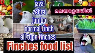 Finches food list malayalam [upl. by Culhert]