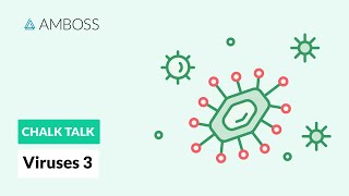 Viruses  Part 3 Viral Replication Process [upl. by Andrade143]