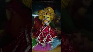 Yaha khatu wela hai sahab khatu shyambaba khatushyam shorts shyam babashyam [upl. by Glynda]