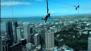 PampO World Cruise 2024Auckland City Sights amp Maori Performance Excursion Review And More [upl. by Hepza]