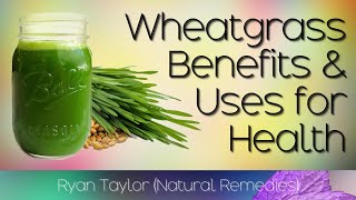 How to Extract Juice of Wheatgrass in a Blender  Healthy Drink Ideas [upl. by Ciro]