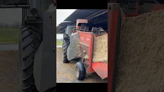 From Tractor to Cowshed 🌾🐄 How We Spread Straw for the Cows [upl. by Fancie]