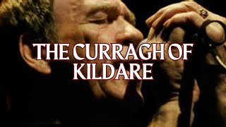 The Curragh Of Kildare │ Finbar Furey and Eddie Furey [upl. by Queri602]