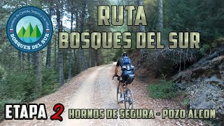 2 etapa Ruta Bosques del Sur en bici [upl. by Cerf]