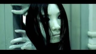 The Grudge Full Movie Fact Review amp Information  Sarah Michelle Gellar  Jason Behr [upl. by Charleen514]