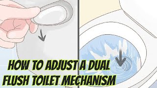 How to Adjust a Dual Flush Toilet Mechanism [upl. by Jelle744]