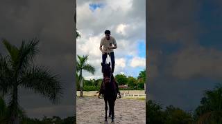 Wait until the end 😍😍😱 horse horses horselover [upl. by Buroker]