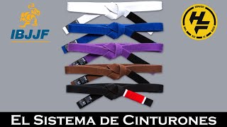 BJJ 🥋  Sistema de CINTURONES EN JIU JITSU ⚪🔵🟣🟤⚫🔴 Cintas BJJ [upl. by Sutherland]