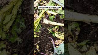 Composting The Benefits of Composting for a Healthier Garden [upl. by Cirded]