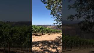 Mayacamas Vineyard Tour [upl. by Naic211]