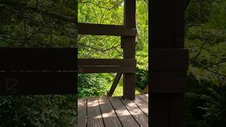 Lookout tower in the Forest 🌳 🌲 Peaceful peacefulnature nature [upl. by Sugihara382]