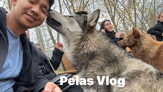 WolfsPelas Vlog [upl. by Kyle]